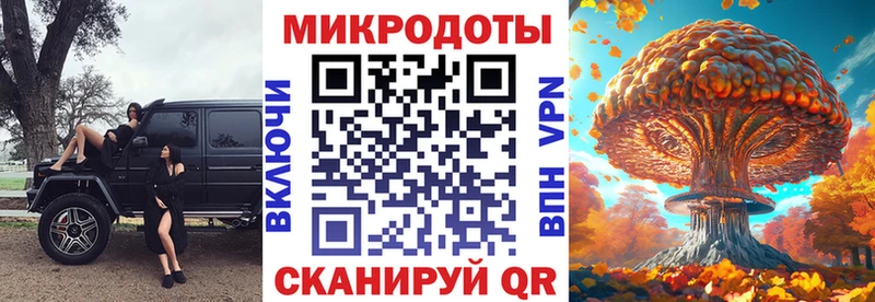 Галлюциногенные грибы GOLDEN TEACHER  omg ссылки  Кстово 